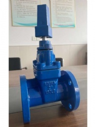 gate valve