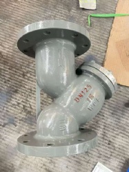 Y strainer
