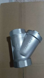 Y strainer