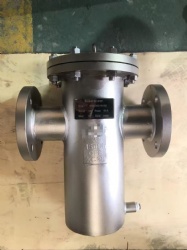 T strainer